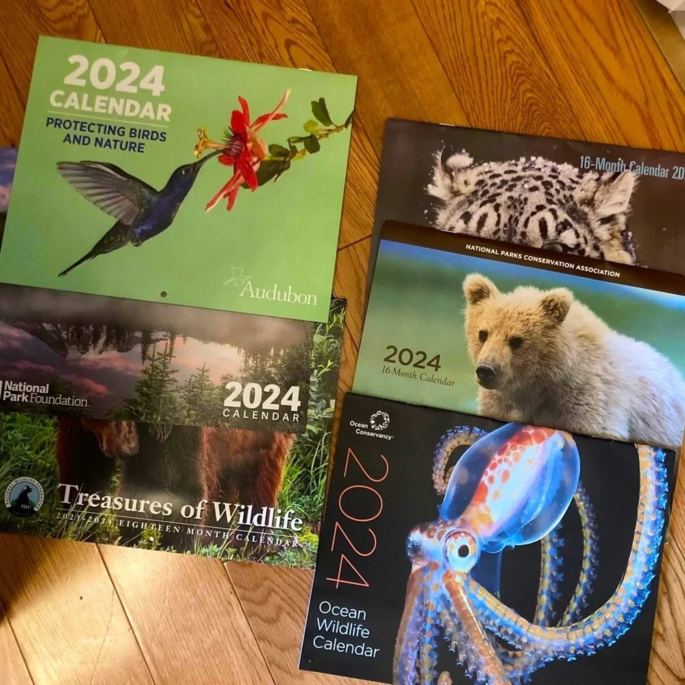 ☀️ 2024 Wildlife and Outdoors Calendar (set of 5)